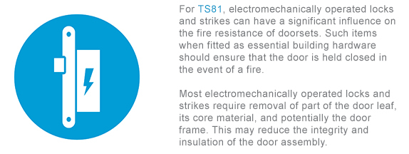 TS81 icon high res
